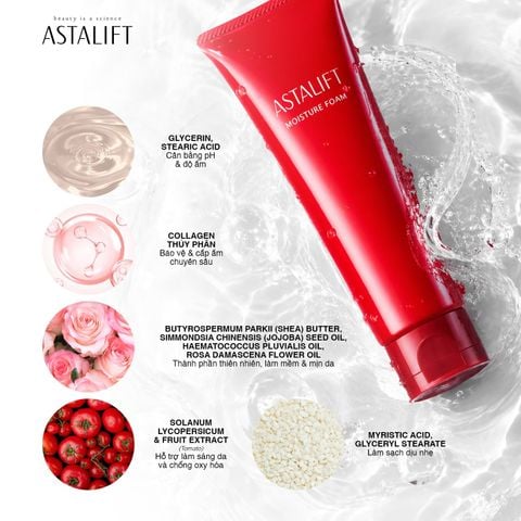 Sữa rửa mặt dịu nhẹ & dưỡng ẩm ASTALIFT MOISTURE FOAM (Tuýp 100G)