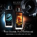  Dầu gội ngừa gàu hương nước hoa nam Ocedon Stella Wash 2in1 - Hộp 250ml 