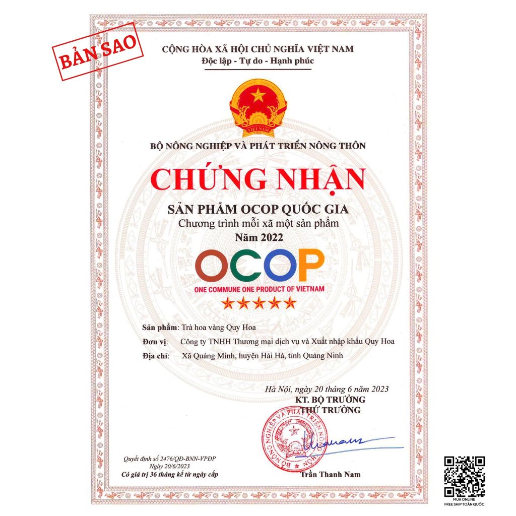 Trà Hoa Vàng - Đặc Sản 5 Sao OCOP Quốc Gia 2022