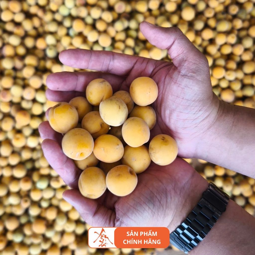 Thùng 12 Chai Rượu Mơ Song Lộc 500ml