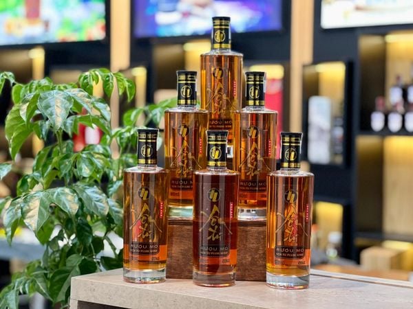 |Tặng 1 kệ gỗ và khăn bao sái| Combo 6 chai rượu mơ Yên Tử tl 500ml