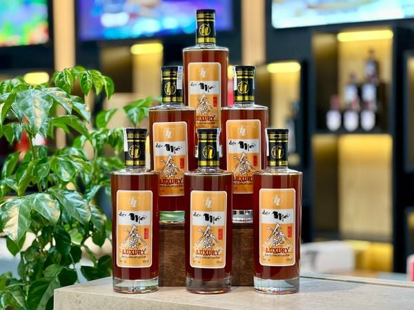 |Tặng 1 kệ gỗ và khăn bao sái| Combo 6 chai rượu mơ Yên Tử luxury 500ml