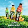  Trà bupnon 365 Hương mật ong 500ml 