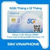  Gói Vina 5Gb x 1 năm trọn gói (D500) 