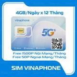  Sim 4G/5G Vina VD89P 4GB/Ngày Trọn Gói 1 Năm 