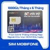  Sim Mobi 1000Gb/T Trọn Gói 6 Tháng 6FHCM 