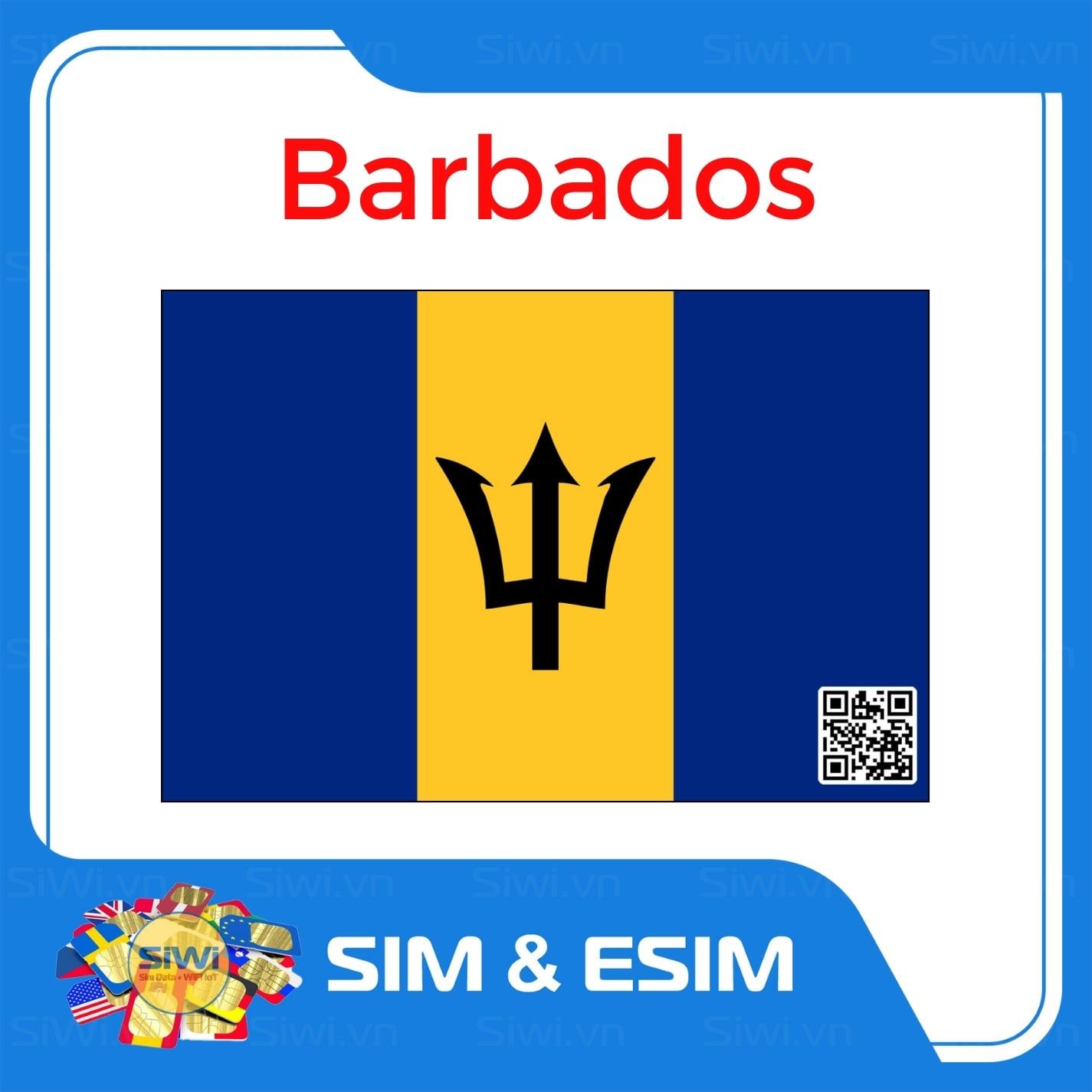  Sim Du Lịch Barbados 