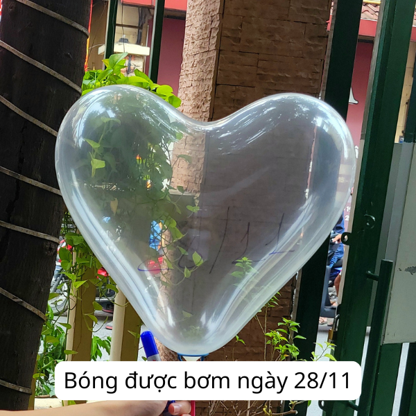 Chai xịt giữ màu bong bóng