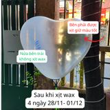  Chai Xịt Bóng Telox Wax 550ml Làm Sáng Bóng Bay, Dưỡng Nhựa Thanh Dung 