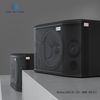 Loa nằm ngang DBACOUSTIC KS X10
