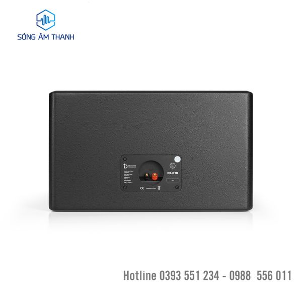 Loa nằm ngang DBACOUSTIC KS X10