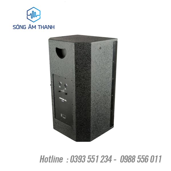 Loa Passive PROEL LTX 12P