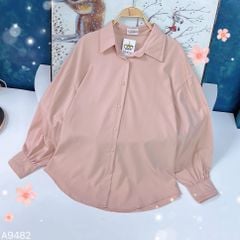 Áo Sơ Mi Lụa 100D Basic 68 A9482