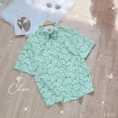 Áo Sơ Mi Thú  Chen Lấn A1620