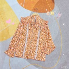 Áo Sơ Mi Sọc Ren Vai Bèo A1725