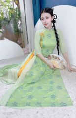 Áo Dài 4 Tà Thê Húc AD9003.1677 (áo lẻ)