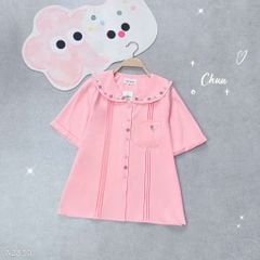 Áo Sơ Mi Túi Hoa 10h A2830