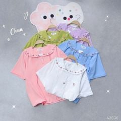Áo Sơ Mi Túi Hoa 10h A2830
