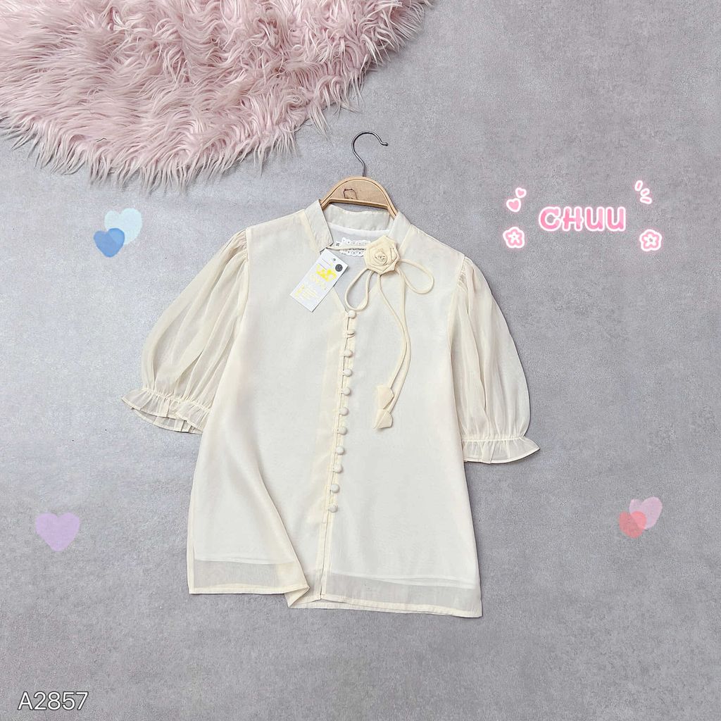 Áo Hoa Hồng Xếp (PK) A2857