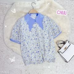 Áo Sơ Mi Cổ Cánh Điệp A2833