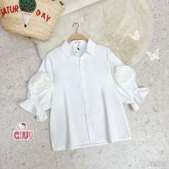 Áo Hoa Hồng Thạch A2903