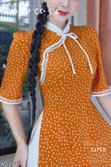 Áo Dài Cha Cha Cha+PK AD9002.2817 (áo lẻ)