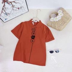 Áo Sơ Mi Black Ana A2908