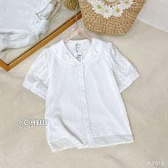 Áo Sơ Mi Tuyết Hoa Dừa A2913