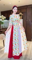 Áo Dài 3 Tà Gió Mang Hoa Về AD2985 (áo lẻ)
