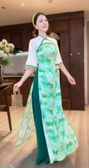 Áo Dài Hồng Hà Châu AD2982 (áo lẻ)