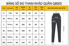 Quần Baggy Lụa 2N Q8005