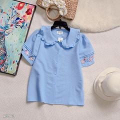 Áo Sơ Mi Bé Bèo Rosy A3963 (Áo lẻ)
