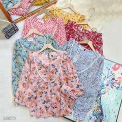 Áo Sơ Mi U Chu Cha A3970 (Áo lẻ)