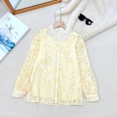 Áo Sơ Mi Nút Daisy A3979 (Áo lẻ)
