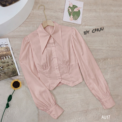 Áo Crop Cổ Nhọn A9001.1581