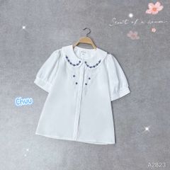 Áo Sơ Mi Ngôi Sao Xanh A2823
