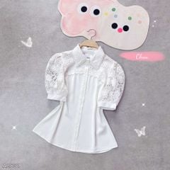 Áo Ren Hoa Bre A2831