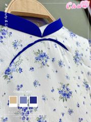 Áo Dài Viền Én Tay Ren AD2753 (áo lẻ)