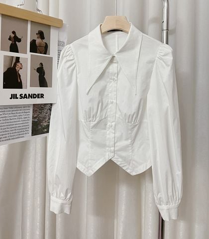 Áo Crop Cổ Nhọn A1581