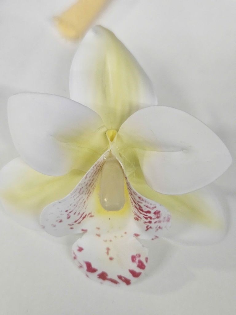 Tag Cài Các Loại