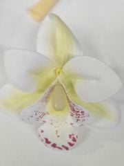 Tag Cài Các Loại