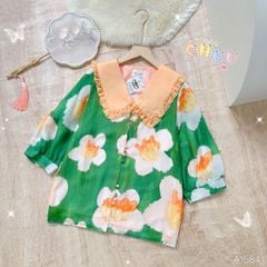 Áo Cổ Babi Chân Hoa A1584