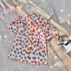 Áo Sơ Mi Cổ Nhọn Dolly A1592