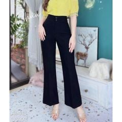 Quần Tây Pass 2N Q6093