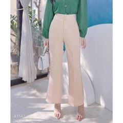 Quần Tây Pass 2N Q6093