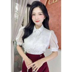 Áo Sơ Mi Cánh Điệp A2873