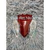 Mica đèn hậu sonic