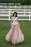  Set áo corset chân váy lưới hồng 