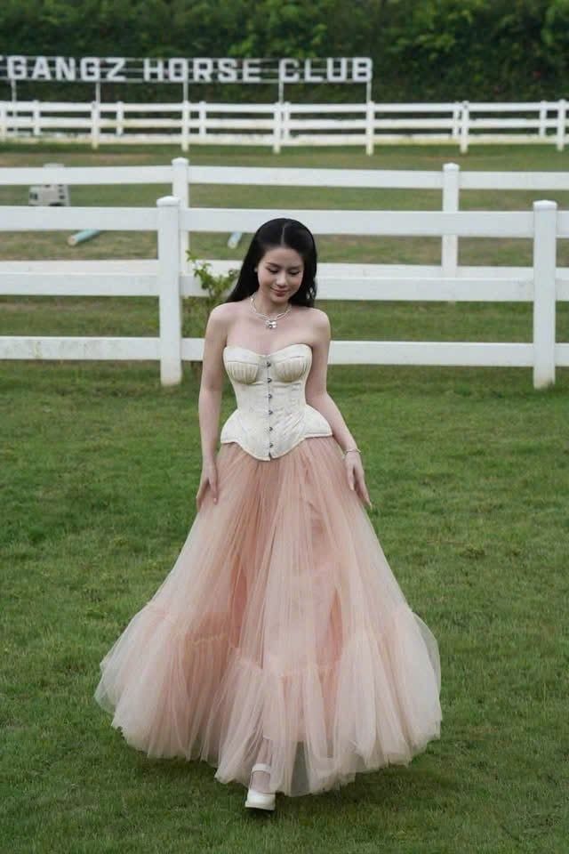  Set áo corset chân váy lưới hồng 