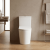 Bồn cầu Grand Edition GE2458